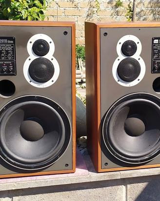 ESB DCM 2010 + DCM 2200 crossover elettronico