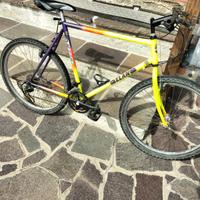 Mountain bike
