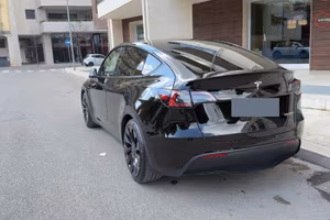 TESLA MODEL Y PERFORMANCE