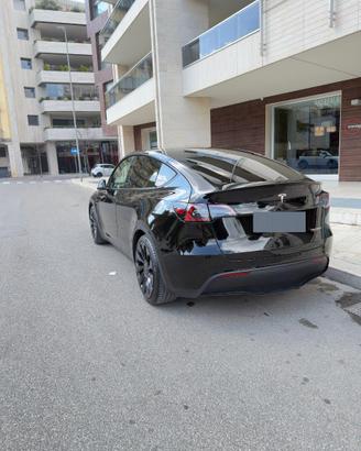 TESLA MODEL Y PERFORMANCE