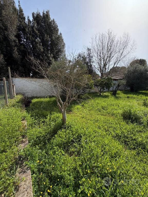 Terreno di 1000 m² a Sabaudia - Vista 4