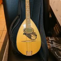 Mandolino di liuteria con custodia