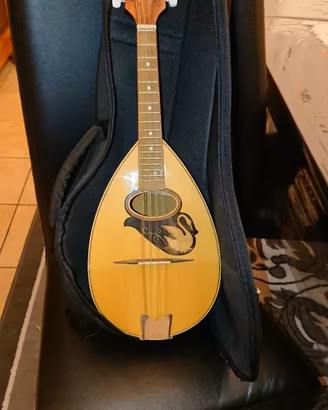 Mandolino di liuteria con custodia