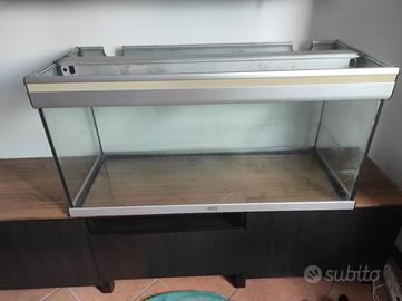 Acquario 