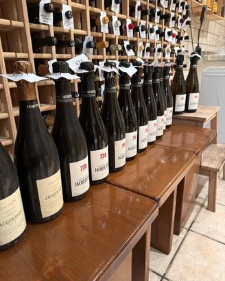 Vino verticale JACQUESSON CHAMPAGNE