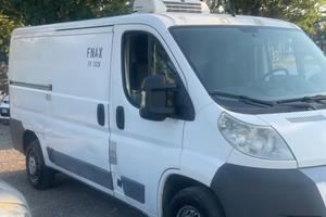 Fiat Ducato 35 3.0 Natural Power Furgone frigo