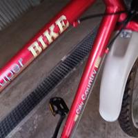 bicicletta MTB misura 26 telaio L 