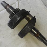 Albero motore Motore Cotiemme 295