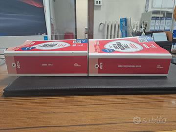 Codice Civile e Codice di Procedura Civile 2024