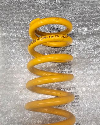Molla Ohlins originale BMW S1000RR K 70