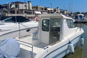Sessa Dorado 22