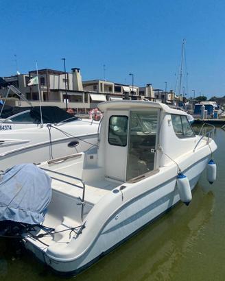 Sessa Dorado 22