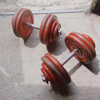 attrezzi da palestra