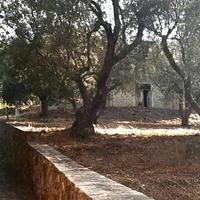 Casa in costruzione con terreno di mq 1200