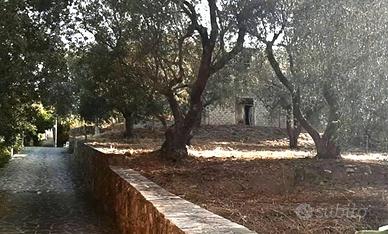 Casa in costruzione con terreno di mq 1200