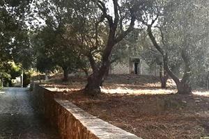 Casa in costruzione con terreno di mq 1200