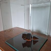 acquario nano cube