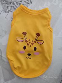 abitini cane piccolo