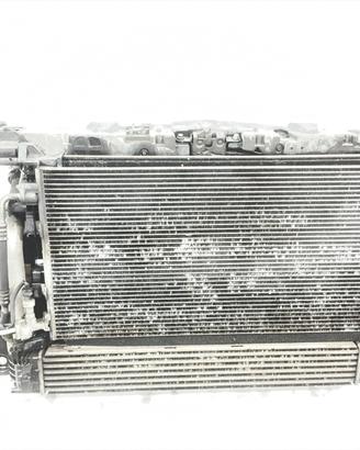 CALANDRA CON KIT RADIATORI RENAULT Megane III Gran