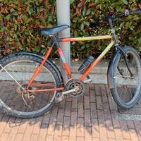 Bicicletta rampichino 12marce 