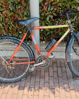 Bicicletta rampichino 12marce 