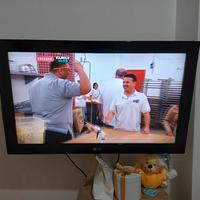 TV LG 32" – Modello 32LD450


