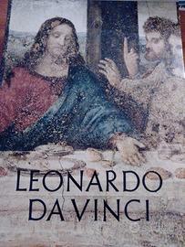 LEONARDO DA VINCI – RINASCIMENTO DISEGNO ARTE PITT