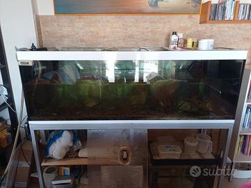Acquario 160x50x55H