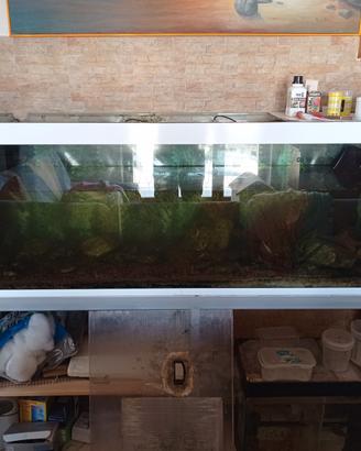 Acquario 160x50x55H