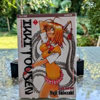 Ikki Tousen variant celebration edition