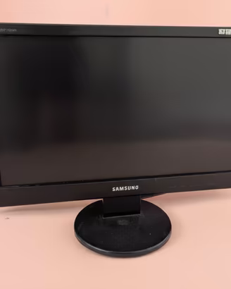 Monitor SAMSUNG 19 pollici