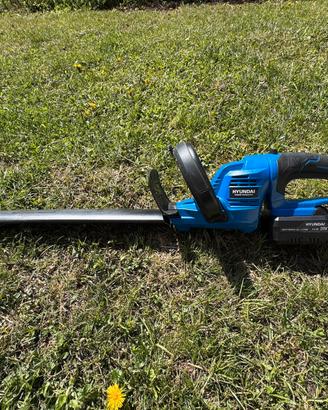 Taglia siepi Hyundai