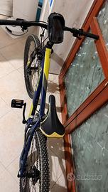 MTB INPULSE