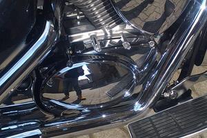 Suzuki intruder