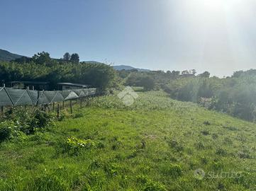 TER. AGRICOLO A SAN CESAREO