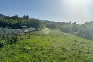 TER. AGRICOLO A SAN CESAREO