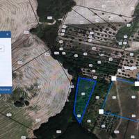 Terreni con uliveto in Basilicata