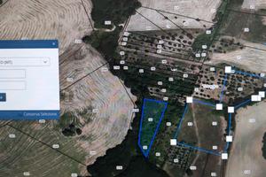 Terreni con uliveto in Basilicata