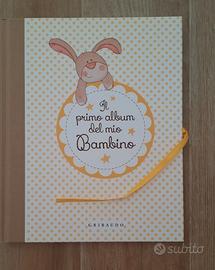 Il primo album del mio bambino diario