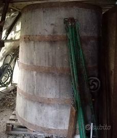 Tino legno di gelso perfetto h=1,5 m