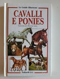 Cavalli e Ponies Georgie Henschel