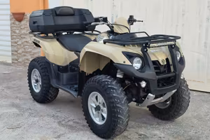 Sym Quad Raider 600 LE