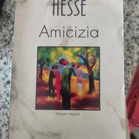 Libro "Amicizia" di Hermann Hesse