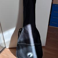 Chitarra Acustica Aria AWN-15 N