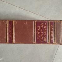 Zingarelli; vocabolario edizione lusso