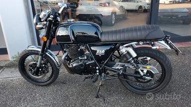 Mash Two Fifty 250 - 2021