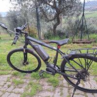 Bicicletta a pedalata assistita