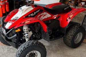Quad polaris trail blazer 330