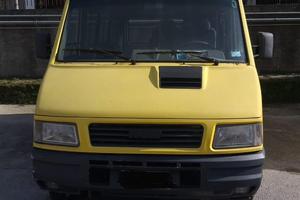 IVECO daily 9 posti, pulmino scolastico, bus