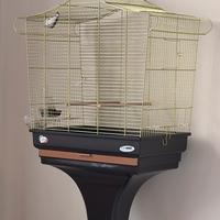 Gabbia  uccelli pappagalli con piedistallo